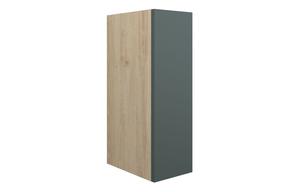 Eden 200mm Standard Toilet Roll Unit - Matt Green (Oak Cab)